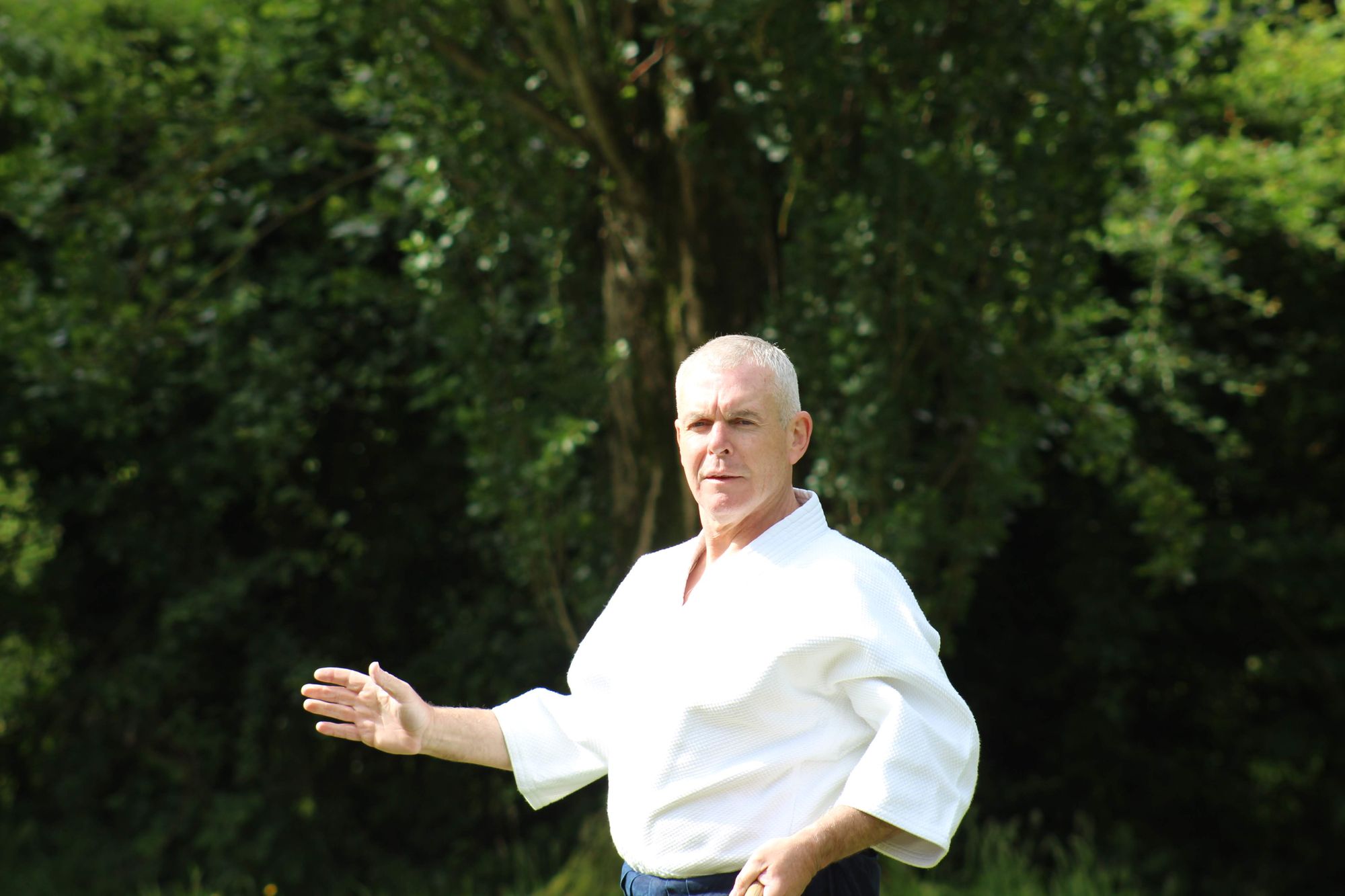 Aikido Archives: 'Strengthening the Sapling'